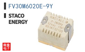 FV30M6020E-9Y ͼƬ